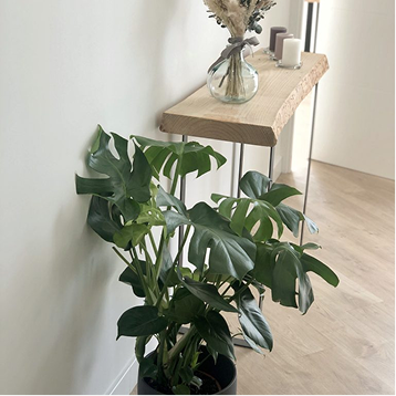 image   2026 01 20T082837.516